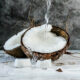 Coconut SQ